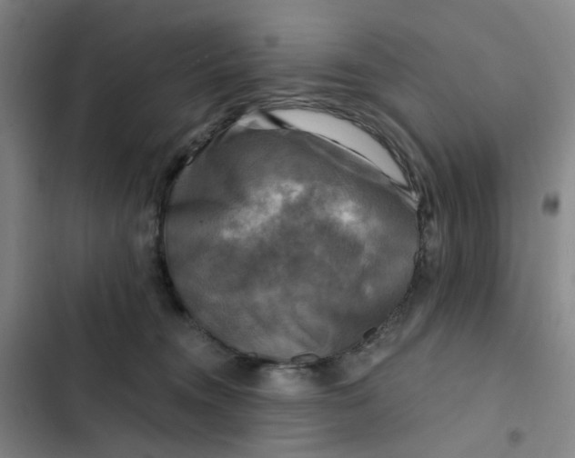 X0000102500372200808221800