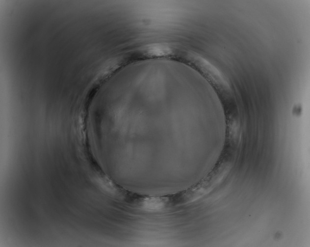 X0000102500373200808221800