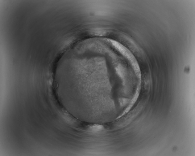 X0000102500374200808221800