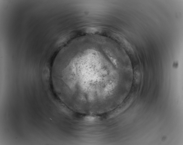 X0000102500375200808221800