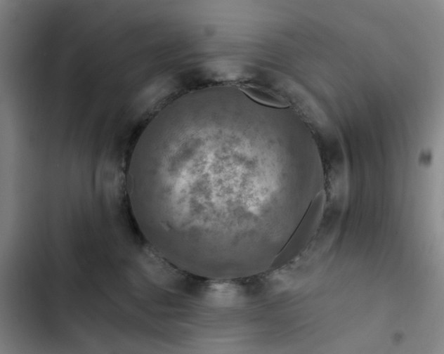 X0000102500376200808221800