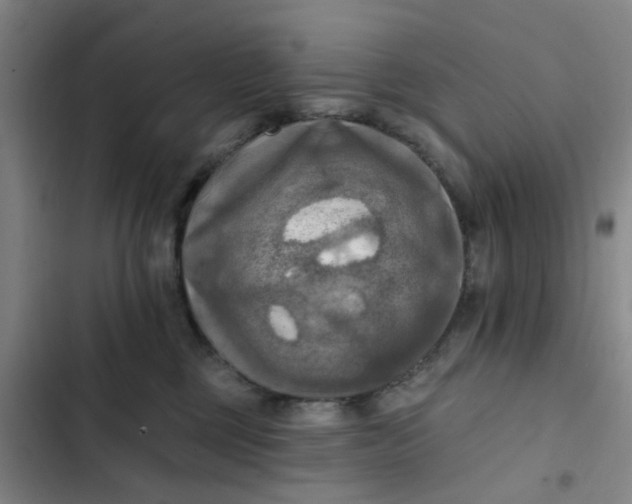 X0000102500377200808221800