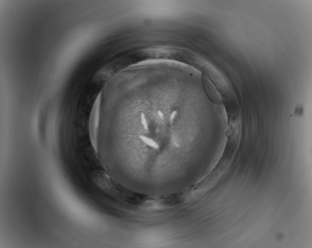 X0000102500381200808221800