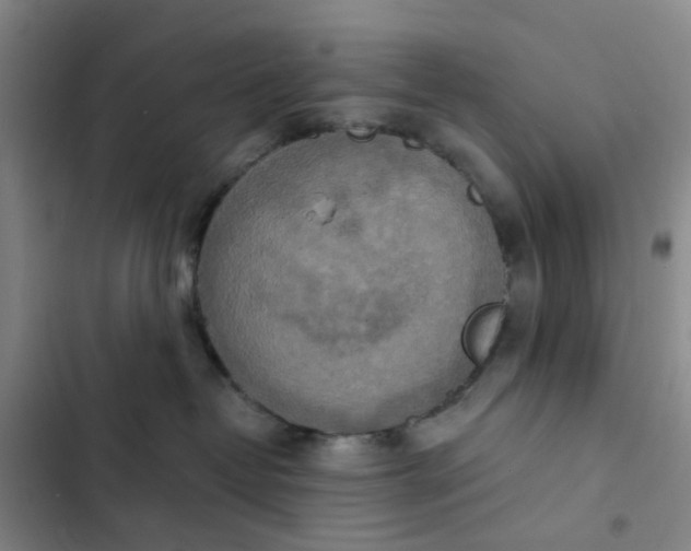 X0000102500382200808221800