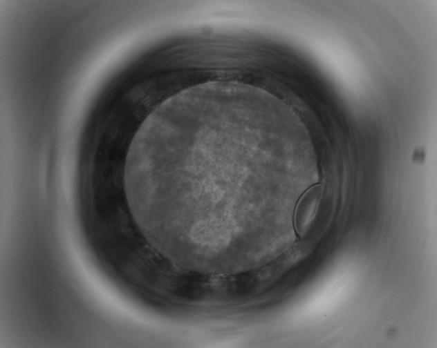 X0000102500383200808221800