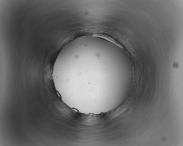 X0000102500384200808221800