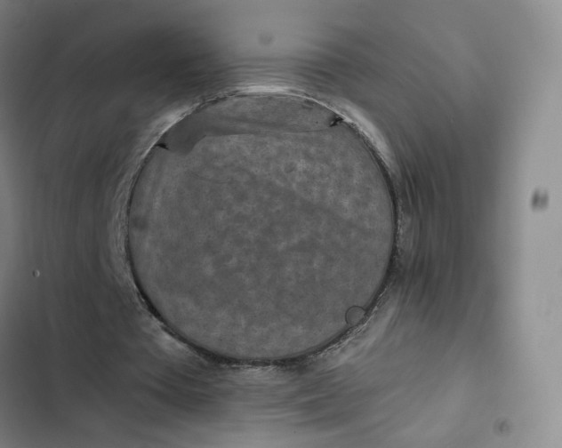 X0000102500385200808221759