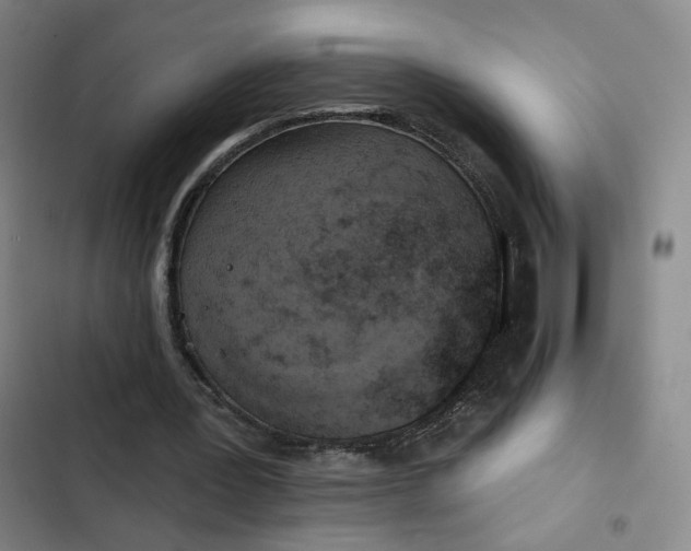 X0000102500387200808221759