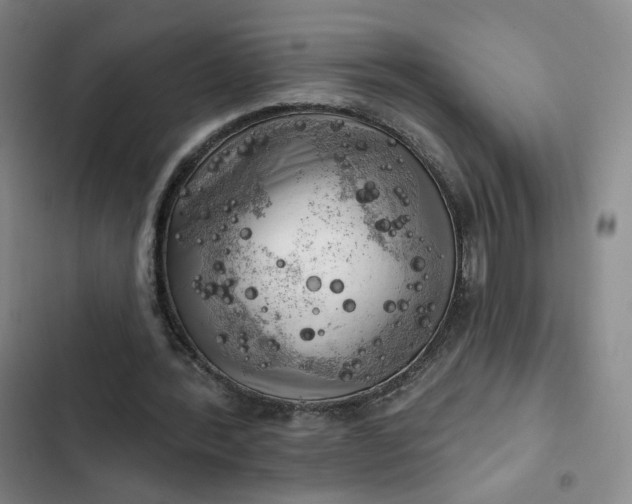 X0000102500388200808221759