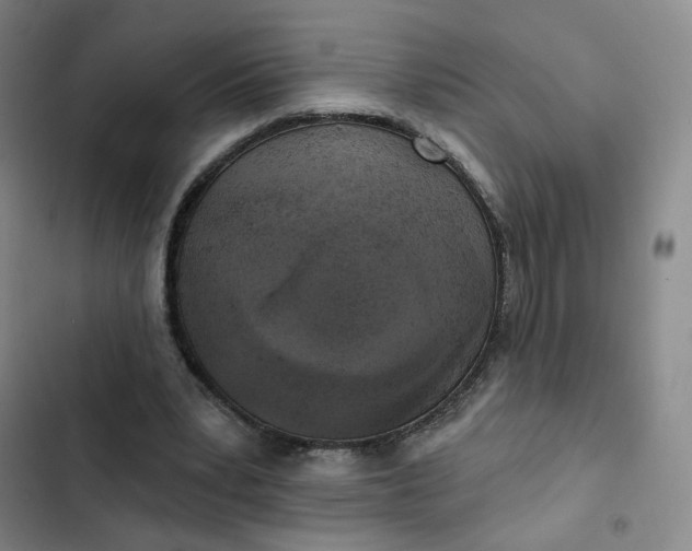 X0000102500391200808221759