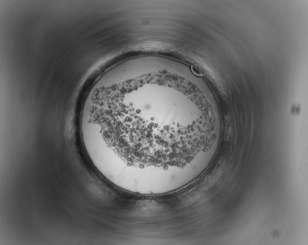 X0000102500392200808221759