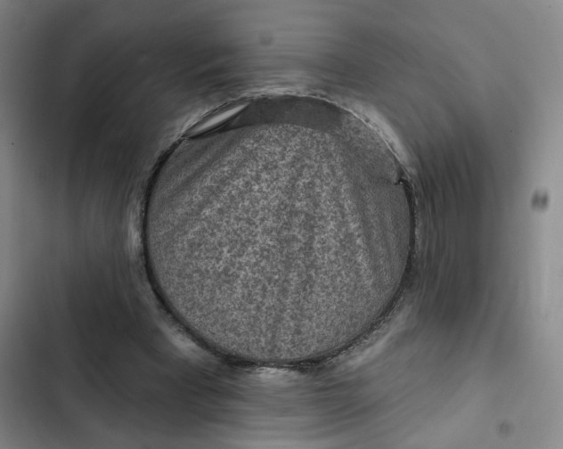 X0000102500393200808221759