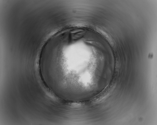 X0000102500394200808221759