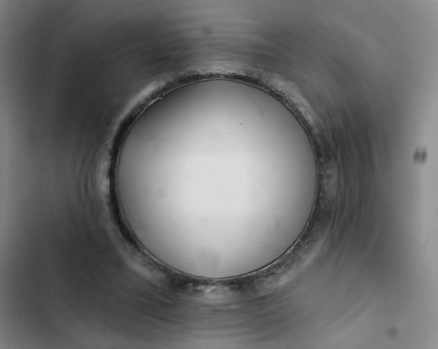 X0000102500395200808221759