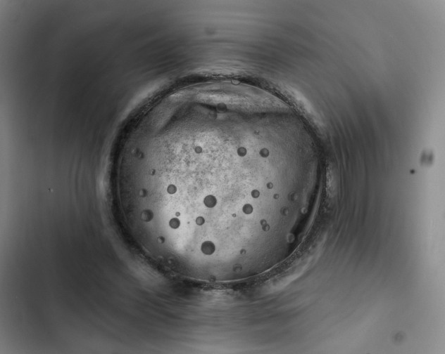 X0000102500396200808221759