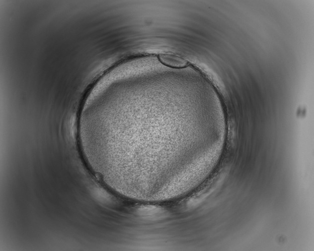 X0000102500397200808221759