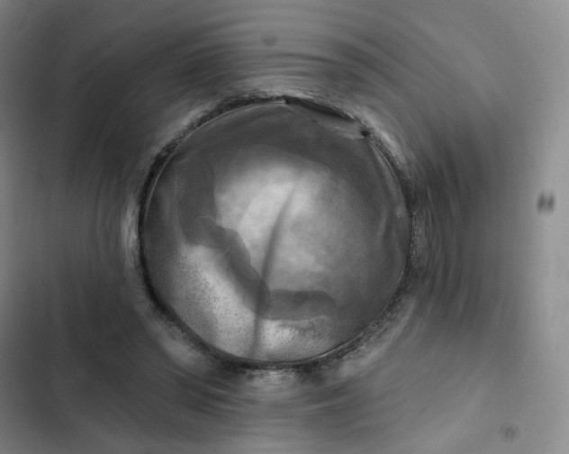 X0000102500398200808221759