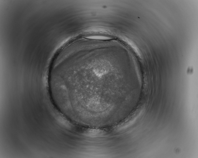 X0000102500399200808221759