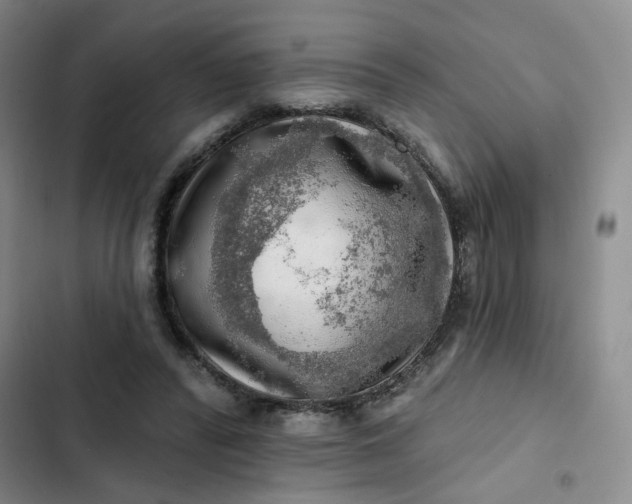 X0000102500400200808221759