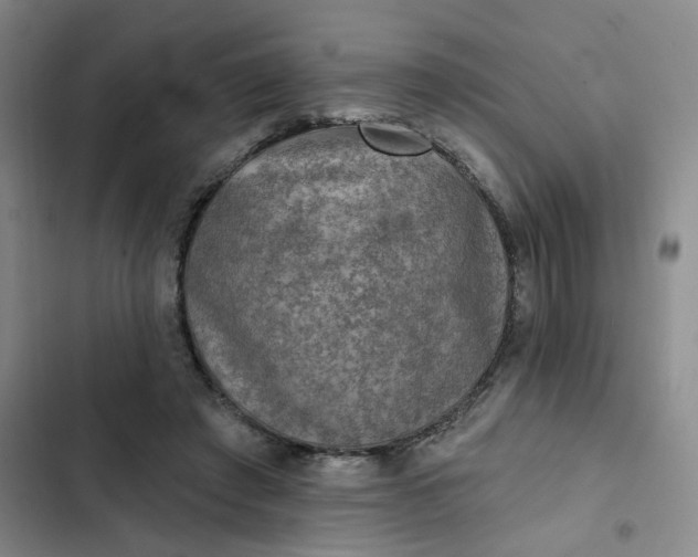 X0000102500401200808221759