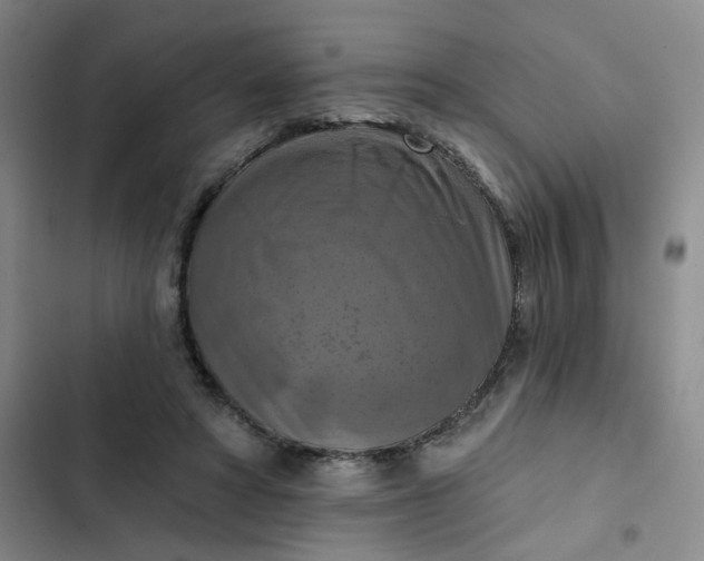 X0000102500402200808221759