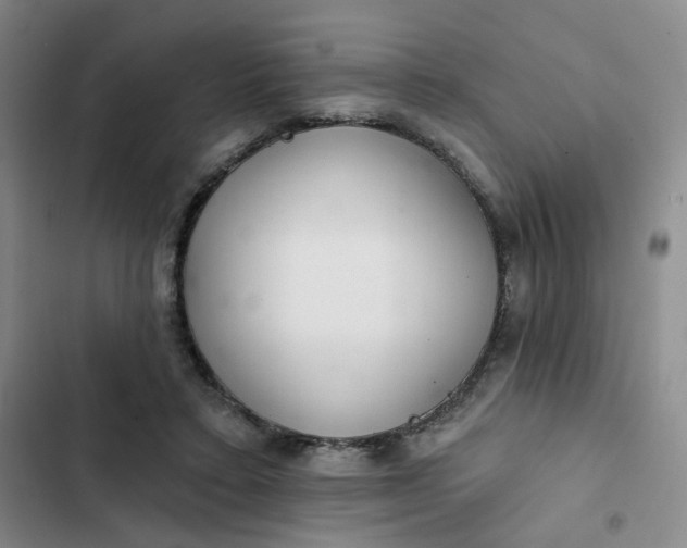 X0000102500403200808221759