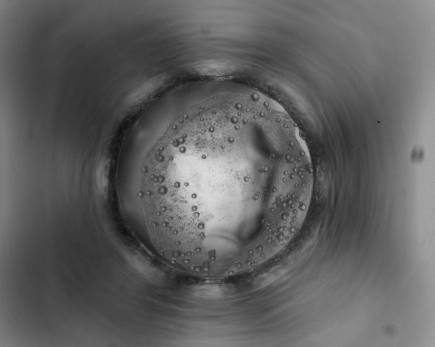 X0000102500404200808221759