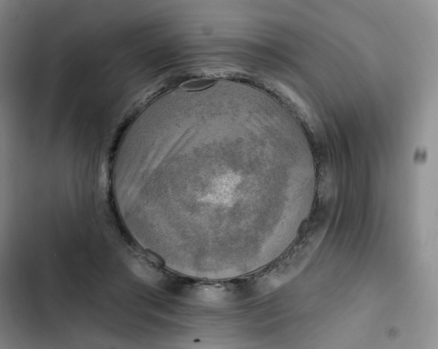 X0000102500405200808221759