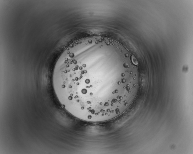 X0000102500408200808221759