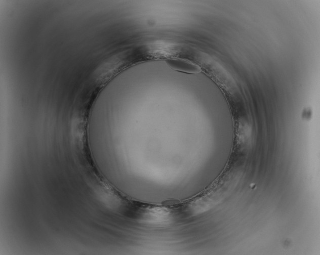 X0000102500409200808221759