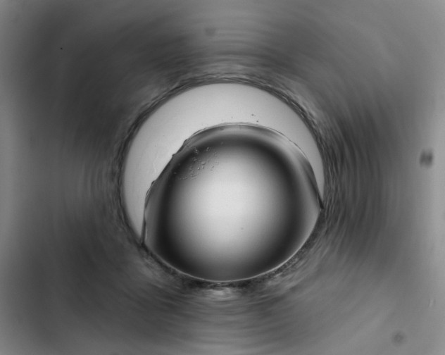 X0000102500411200808221759