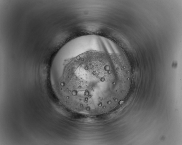 X0000102500412200808221759