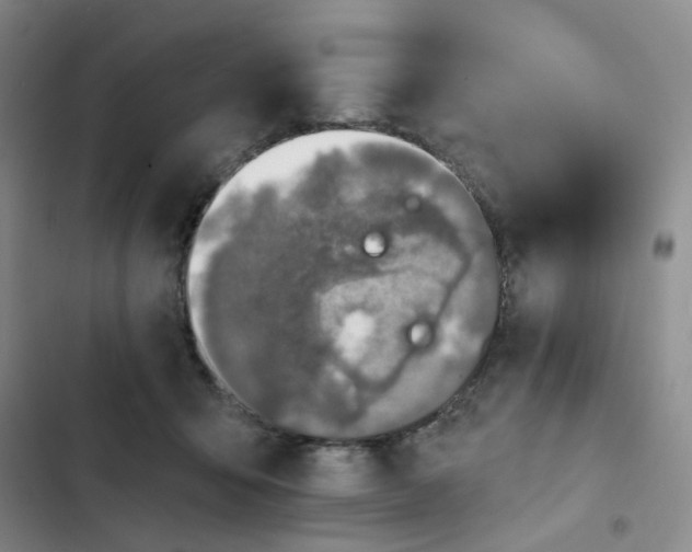 X0000102500415200808221759