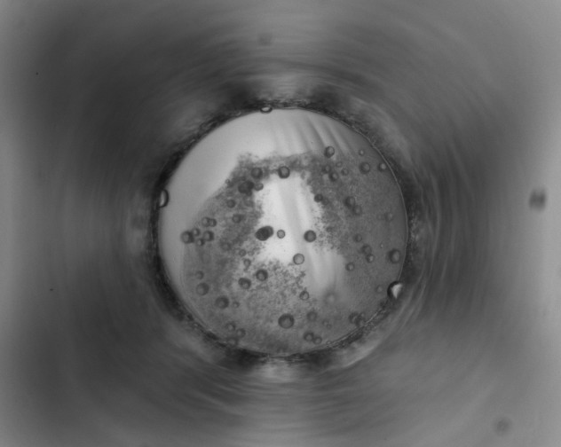 X0000102500416200808221759