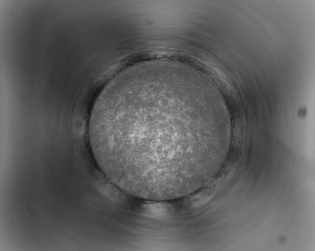 X0000102500417200808221759