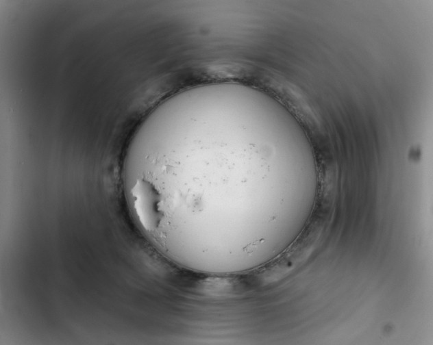 X0000102500418200808221759