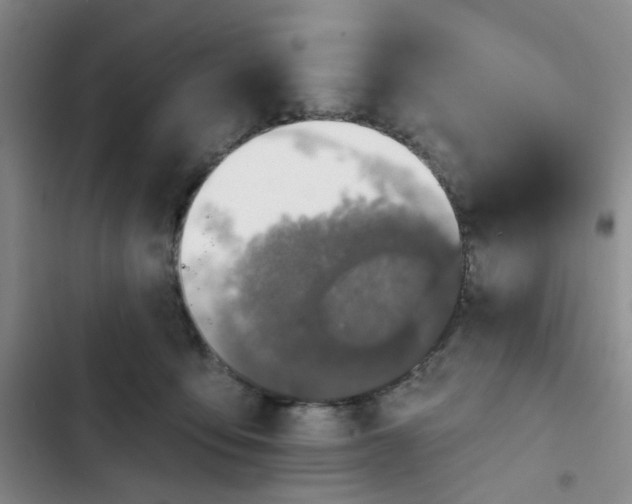 X0000102500419200808221759