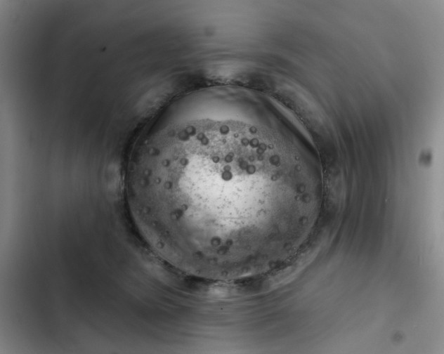 X0000102500420200808221759