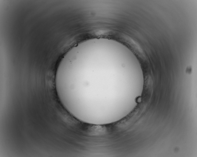 X0000102500421200808221759