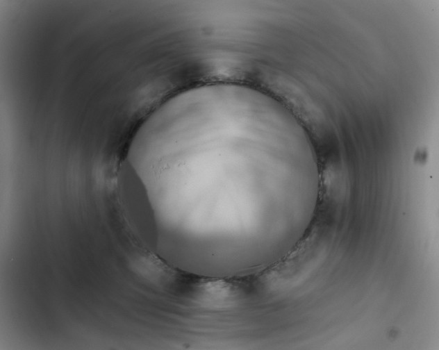 X0000102500423200808221759