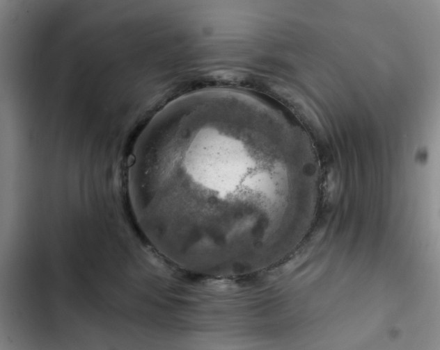 X0000102500424200808221759