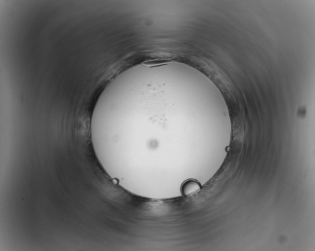 X0000102500425200808221759