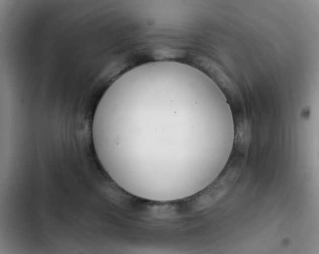 X0000102500426200808221759