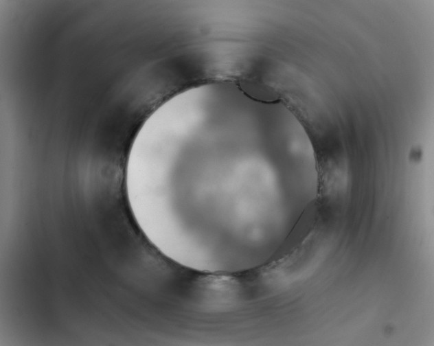 X0000102500427200808221759