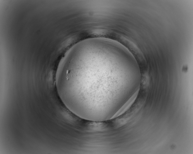 X0000102500428200808221759