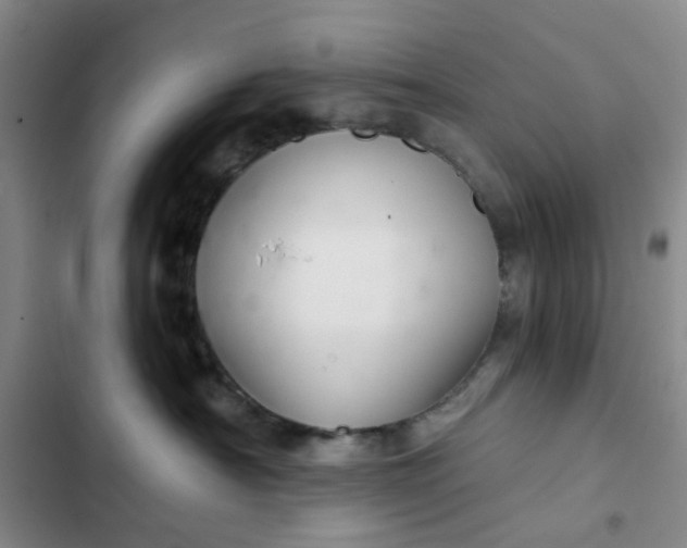 X0000102500430200808221759