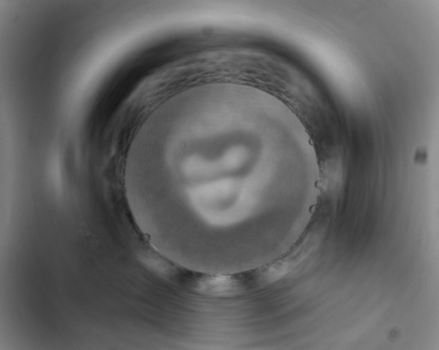 X0000102500431200808221759