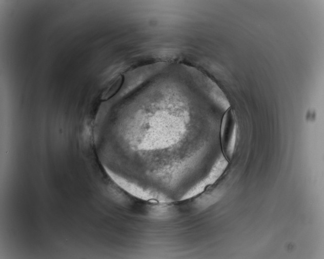 X0000102500432200808221759