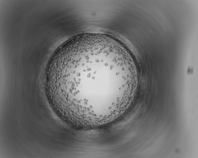 X0000102500433200808221758