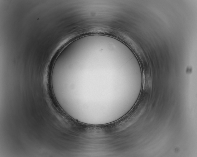 X0000102500435200808221758